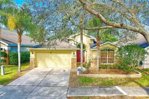 422 Down Pine Dr, Seffner, FL 33584