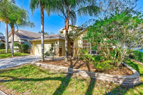 422 Down Pine Dr, Seffner, FL 33584 photo 35