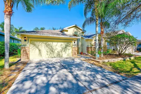 422 Down Pine Dr, Seffner, FL 33584 photo 34