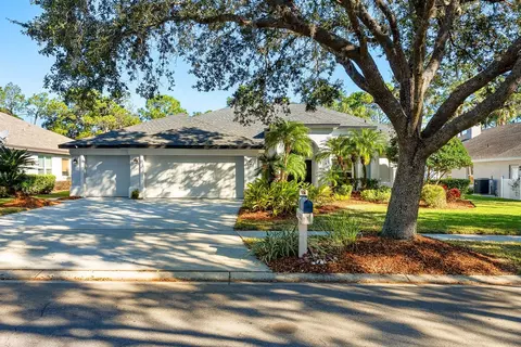 5433 Burnt Hickory Dr, Valrico, FL 33596