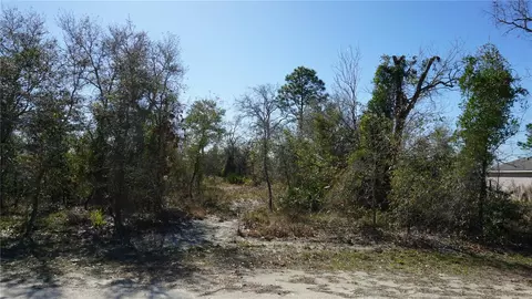 13112 Johnathan Dr, Weeki Wachee, FL 34614
