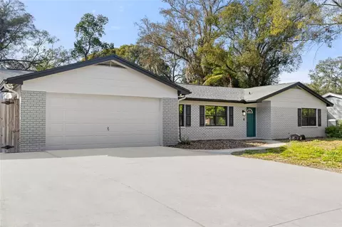 13506 Little Lake Pl, Tampa, FL 33613