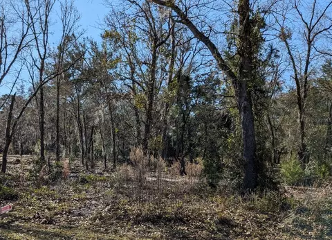 0 Guava Terrace Radl, Ocklawaha, FL 32179