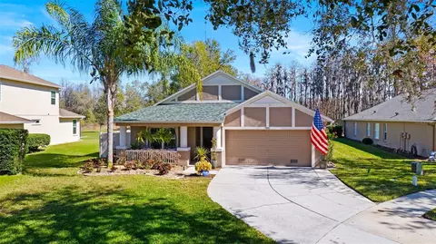 7851 Blue Spring Dr, Land O Lakes, FL 34637