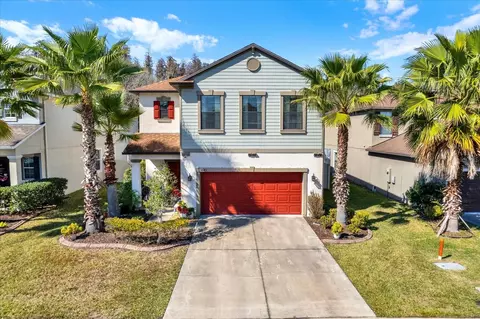 1643 Ludington Ave, Wesley Chapel, FL 33543