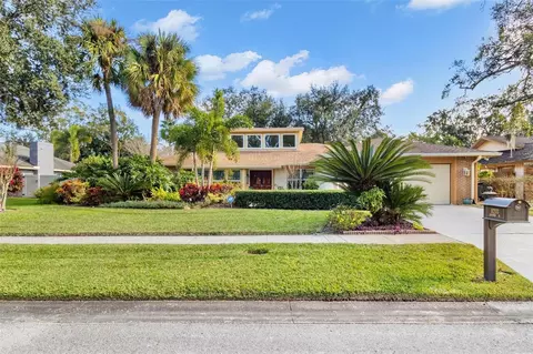 14203 Ashburn Pl, Tampa, FL 33624