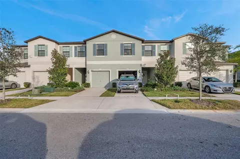 4006 Wild Senna Blvd, Tampa, FL 33619