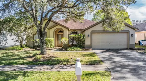 29040 Rivergate Run, Wesley Chapel, FL 33543