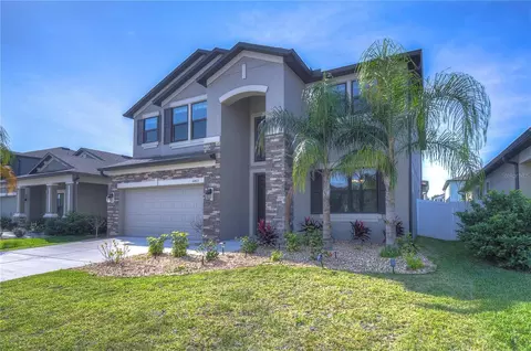 11423 Amapola Bloom Ct, Riverview, FL 33579