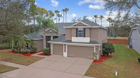 19104 Autumn Woods Ave, Tampa, FL 33647