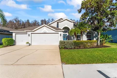 1509 Baythorn Dr, Wesley Chapel, FL 33543