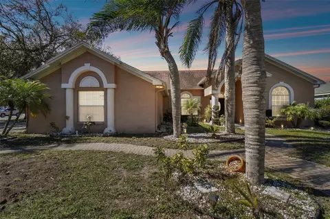 2206 S Miller Rd, Valrico, FL 33596