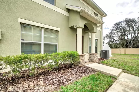 9815 Trumpet Vine Loop, Trinity, FL 34655