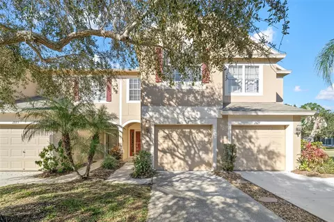 2825 Conch Hollow Dr, Brandon, FL 33511