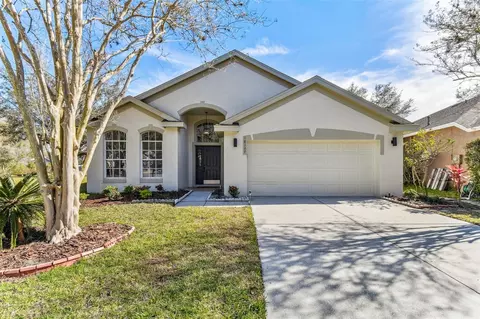 18127 Antietam Ct, Tampa, FL 33647