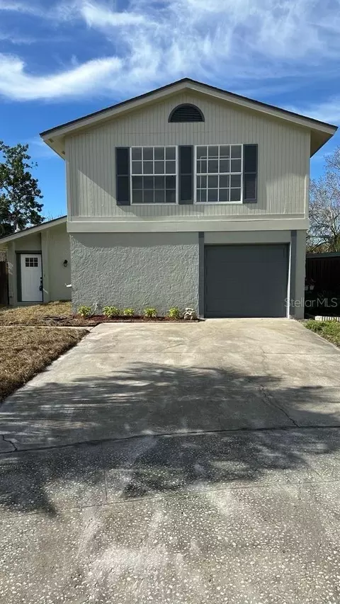 4726 Millpond Ln, Tampa, FL 33624