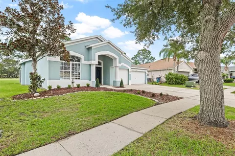 25551 Risen Star Dr, Wesley Chapel, FL 33544