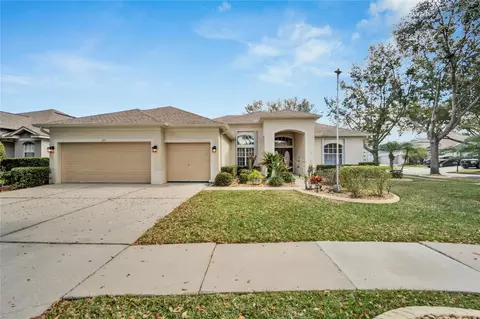 223 Bon Vie Pl, Valrico, FL 33594