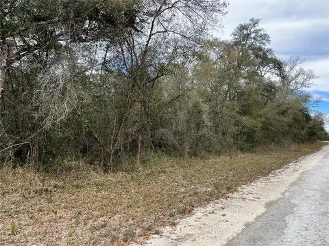 Plymouth Rock Drive, Webster, FL 33597