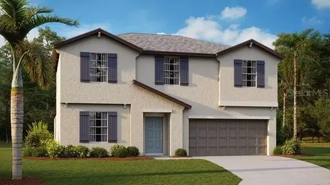 5158 Fiddle Fig Ave, Wimauma, FL 33598