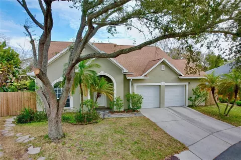 8831 Cypress Hammock Dr, Tampa, FL 33614