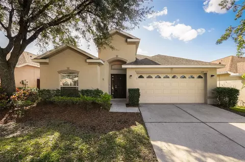 1157 Emerald Hill Way, Valrico, FL 33594