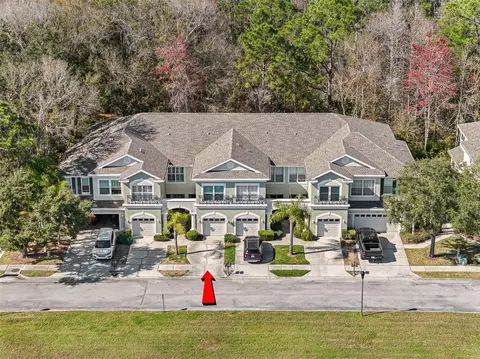 14181 Waterville Cir, Tampa, FL 33626