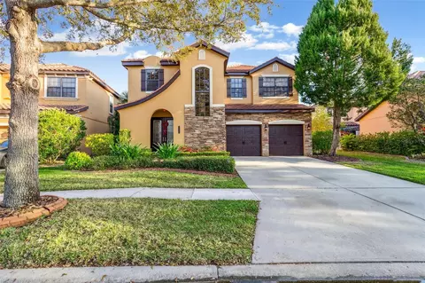 20323 Chestnut Grove Dr, Tampa, FL 33647