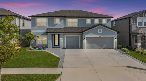 31356 Palm Song Pl, Wesley Chapel, FL 33545