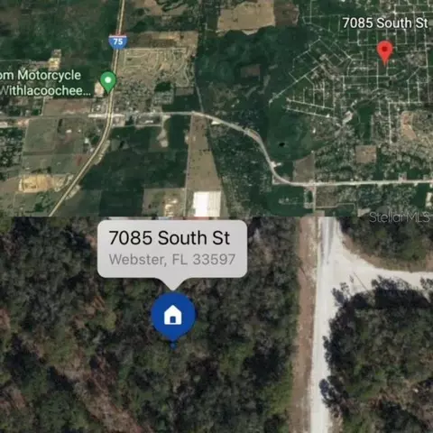 7085 South St, Webster, FL 33597