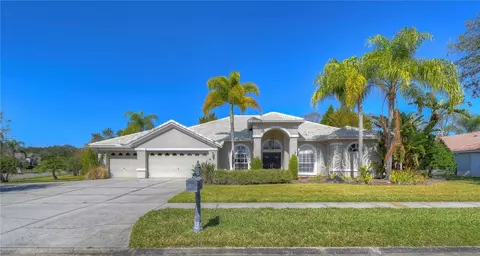 6919 Aqueduct Ter, Odessa, FL 33556