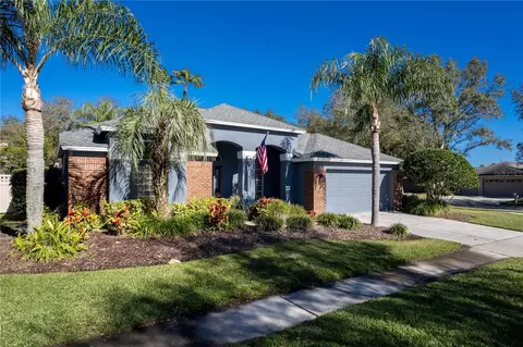 9422 Azalea Ridge Cir, Tampa, FL 33647
