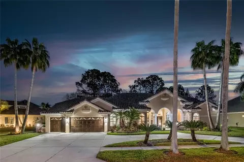 12028 Brewster Dr, Tampa, FL 33626