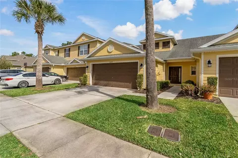 20205 Indian Rosewood Dr, Tampa, FL 33647
