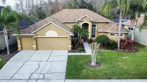 26604 Shoregrass Dr, Wesley Chapel, FL 33544