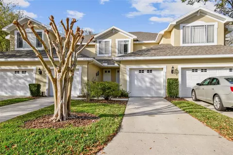 6413 Spring Oak Ct, Tampa, FL 33625