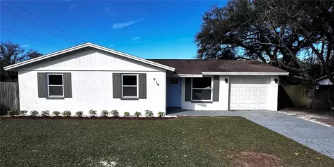 919 Balmoral Pl, Valrico, FL 33594