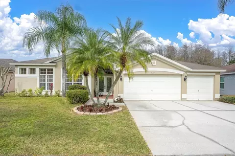 6311 Nikki Ln, Tampa, FL 33625