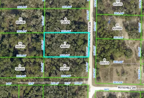 Glenchester Drive, Webster, FL 33597