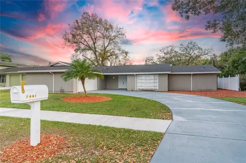 7001 N Whittier St, Tampa, FL 33617