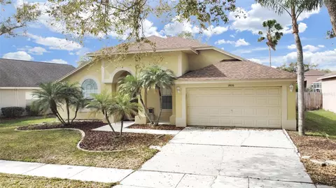 18016 Palm Breeze Dr, Tampa, FL 33647
