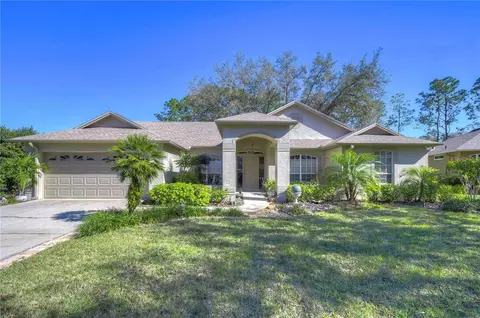 4804 Willow Ridge Ter, Valrico, FL 33596