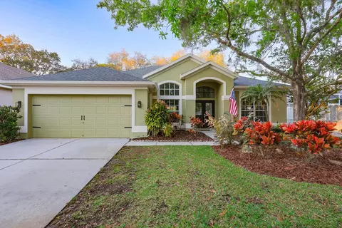19134 Cherry Rose Cir, Lutz, FL 33558