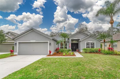 5910 Tealwater Pl, Lithia, FL 33547