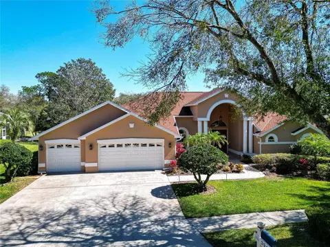 3918 S Nine Dr, Valrico, FL 33596