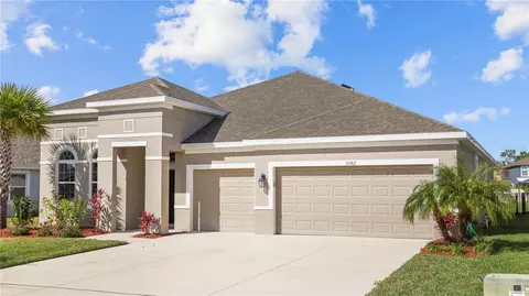 5082 Ivory Stone Dr, Wimauma, FL 33598