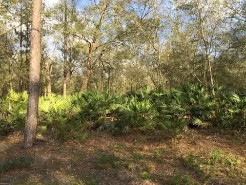 144 Phillips Rd, Florahome, FL 32140