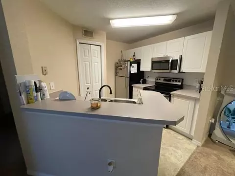 18108 Peregrines Perch Pl #7205, Lutz, FL 33558