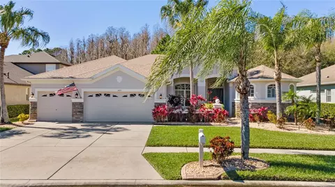 1455 Salmonberry St, Wesley Chapel, FL 33543