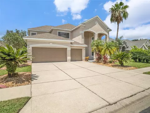 3647 Valencia Cove Ct, Land O Lakes, FL 34639